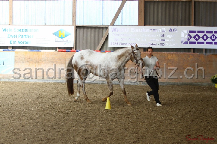 24-ApHC HIH_021.jpg